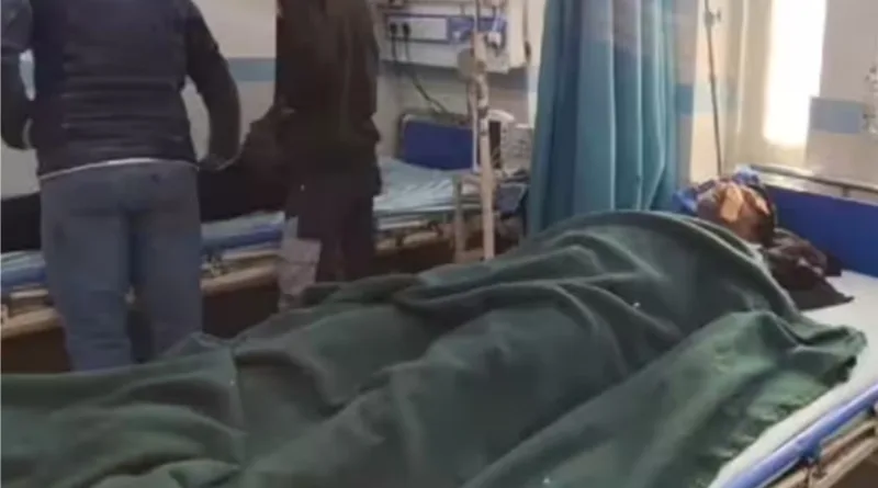 बाइक सवार दो युवकों पर बाघ ने बोला हमला