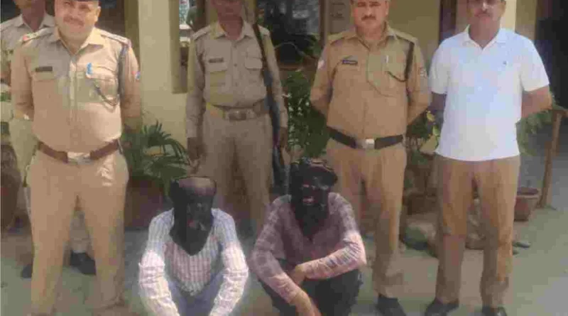 लाखो रूपये की कीमती शीशम व सागौन के 25 गिल्टो के साथ दो अन्तर्राज्यीय वन तस्कर गिरफ्तार