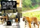 जिम कॉर्बेट नेशनल पार्क का ढिकाला जोन आज से बन्द