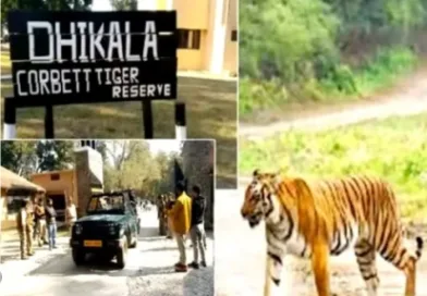 जिम कॉर्बेट नेशनल पार्क का ढिकाला जोन आज से बन्द