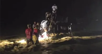 पहाड़ों पर हो रही लगातार बारिश के चलते नदी-नाले उफान पर