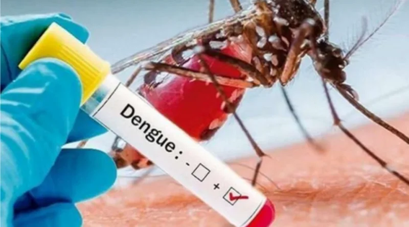 काशीपुर में डेंगू का दूसरा संदिग्ध मरीज मिला