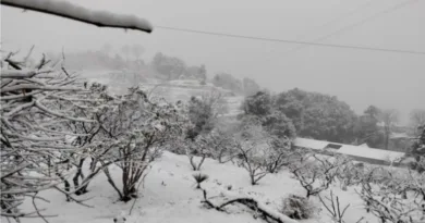 नैनीताल जिले में बसंत पंचमी पर हुई बर्फबारी