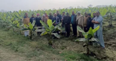 सूर्या फाउंडेशन के तत्वावधान में केला खेती से संबंधित फॉर्म विजिट कार्यक्रम का आयोजन