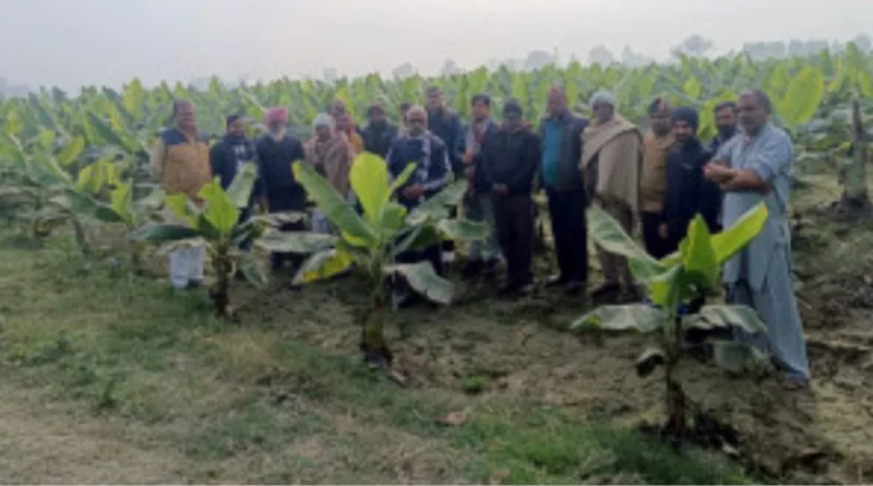 सूर्या फाउंडेशन के तत्वावधान में केला खेती से संबंधित फॉर्म विजिट कार्यक्रम का आयोजन