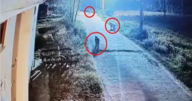 जसपुर में एक साथ तीन-तीन गुलदारों की मौजूदगी से दहशत में ग्रामीण