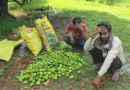 तेज आंधी-तूफान ने किसानों की मेहनत पर फिरा पानी