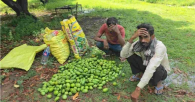 तेज आंधी-तूफान ने किसानों की मेहनत पर फिरा पानी