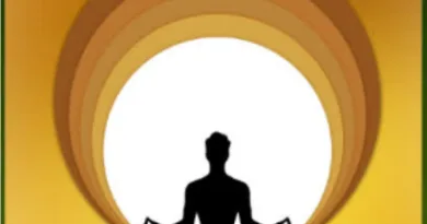 राज्य में अंतरराष्ट्रीय दिवस पूरे धूमधाम से मनाया जा रहा