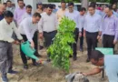 हरेला पर्व पर जिलाधिकारी नितिन सिंह भदौरिया ने किया वृक्षारोपण, पर्यावरण संरक्षण का दिया संदेश
