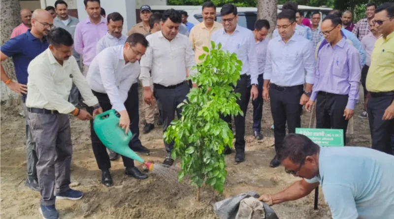 हरेला पर्व पर जिलाधिकारी नितिन सिंह भदौरिया ने किया वृक्षारोपण, पर्यावरण संरक्षण का दिया संदेश