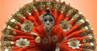 श्रीकृष्ण जन्मोत्सव से पहले बाजारों में रौनक, मथुरा-वृंदावन शैली की पोशाकों और श्रृंगार सामग्री को लेकर श्रद्धालुओं में खासा उत्साह