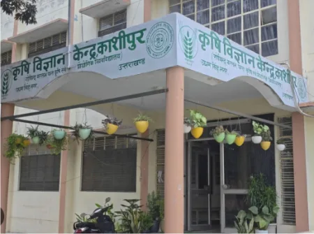 काशीपुर में होगी मखाने की खेती