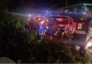 रामनगर-पीरूमदारा नेशनल हाईवे-309 पर बारिश का कहर, तीन भारी-भरकम पेड़ सड़क पर लगे