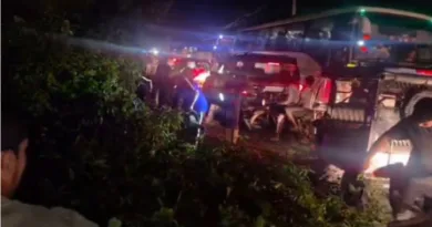 रामनगर-पीरूमदारा नेशनल हाईवे-309 पर बारिश का कहर, तीन भारी-भरकम पेड़ सड़क पर लगे
