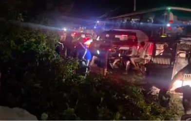 रामनगर-पीरूमदारा नेशनल हाईवे-309 पर बारिश का कहर, तीन भारी-भरकम पेड़ सड़क पर लगे
